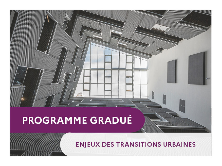 Page du Programme Gradué Enjeux des Transitions Urbaines (271 Ko, jpg)