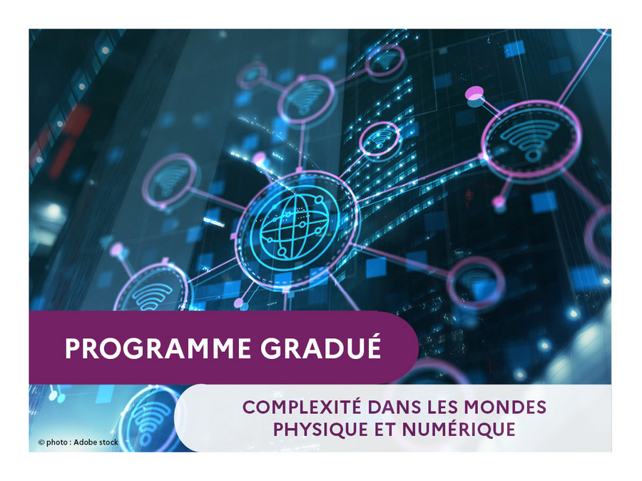 Page du Programme Gradué Complexité dans les mondes physique et numérique (207 Ko, jpg)