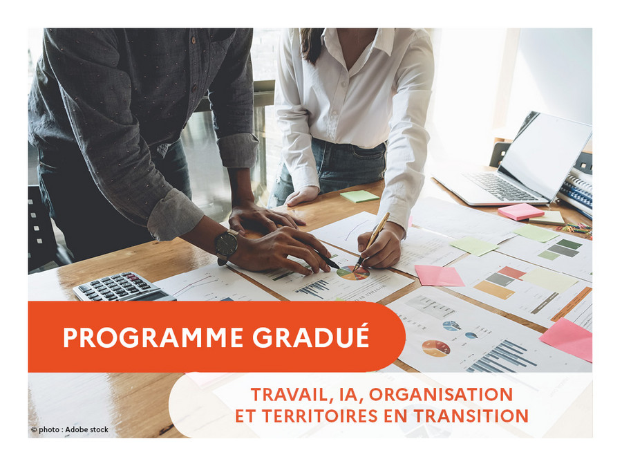 Page du Programme Gradué Travail, IA, organisation et territoires en transition (213Ko, jpg)