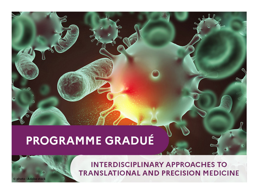 Page du Programme Gradué Innovations thérapeutiques et transitions environnementales (215Ko, jpg)